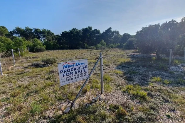 Terrenos agrícolas