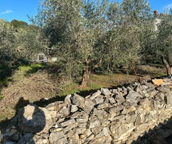 Pula, Istria : Prime Building Land in Veli Vrh