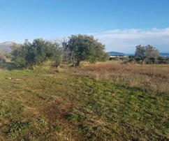 Продажа участка Plano 1057 м2