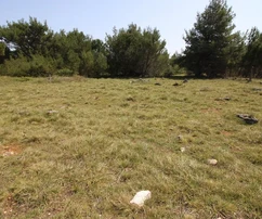 Mezőgazdasági föld 541 m²