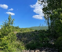 Spacious Land for Sale Near Sinj, Ideal for Family Home