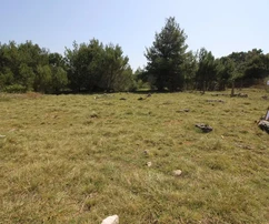 Terrain agricole 541 m²