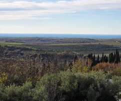 Pozemok Buje, 1 473 m2