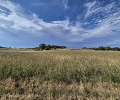 Land Kaštelir, Kaštelir-Labinci, 32.619m2