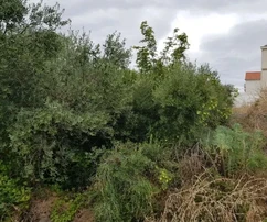 Čiovo, Okrug Donji, terrain constructible 500 m2, abordable, emplacement calme