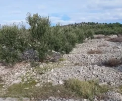 Rogoznica, Podorljak, poľnohospodárska pôda 6500 m2, 500 m od diaľnice