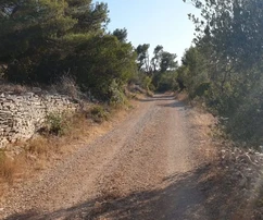 Korčula, Vela Luka, stavební pozemek 1964 m2, v první řadě u moře