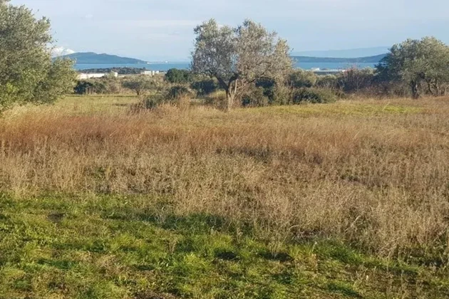 Telekeladás Plano 1057 m2