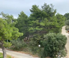 Land near the sea - Rogoznica