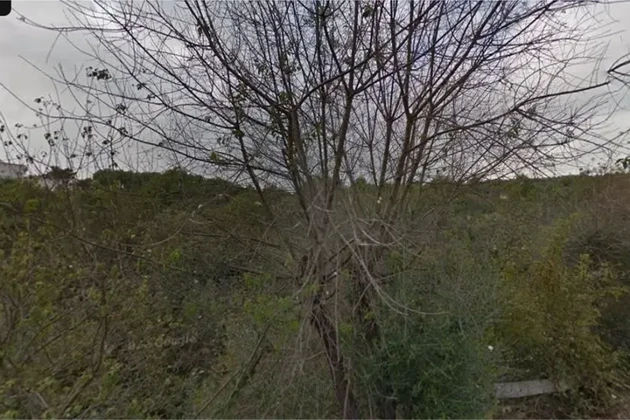 Čiovo, Okrug G., Mavaračica, Baugrundstück 5050m2, 250m vom Meer entfernt
