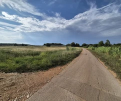 Istria, Kastelir: Poľnohospodárska pôda s lesom 24 118 m²