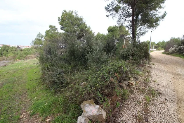 Terrain sous plan UPU 80€/1m2