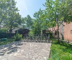 Žminj, Istria - Zabytkowa kamienna willa z bujnymi ogrodami