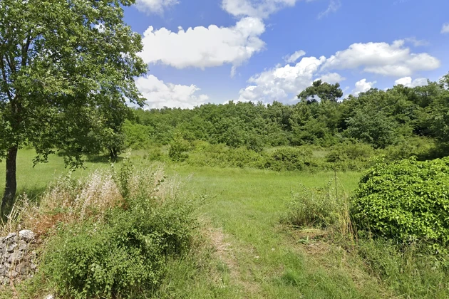 Višnjan, Istria – Parcelas edificables en venta