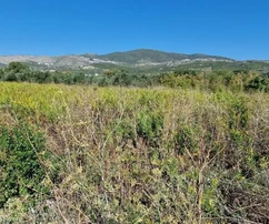 Trogir-Okolica, Plano, stavebný pozemok 1332 m2