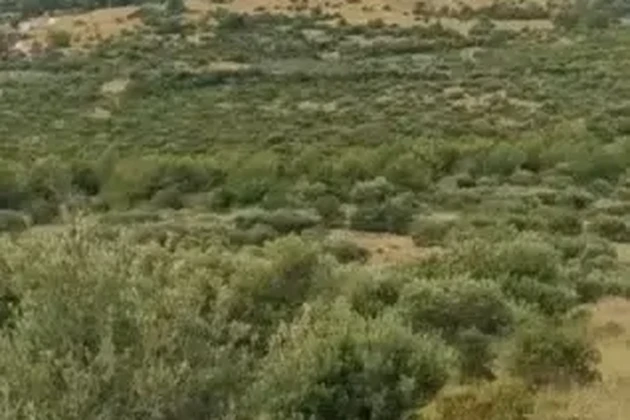 Rogoznica, Podorljak, mezőgazdasági terület 15000 m2