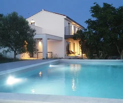 Modern villa with a swimming pool and a spacious yard for sale in Croatia