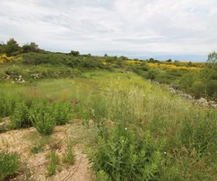Mezőgazdasági föld 760 m²
