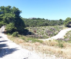 Großzügiges Baugrundstück auf Šolta in Meeresnähe zu verkaufen