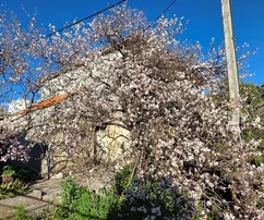 Panorama-Villa in Seget Donji – Ihr Traumhaus mit Meerblick!
