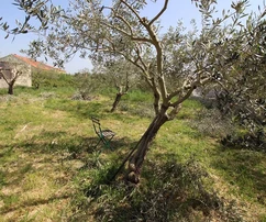 Terreno edificabile vicino al centro di Nin