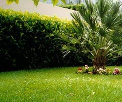 Podgora, Makarska, 65,44 m²-es tengerre néző apartman